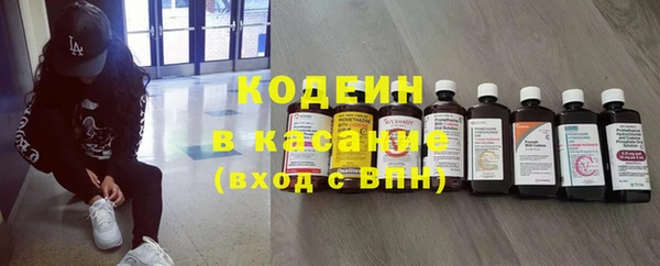 стаф Липки