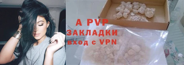 стаф Липки