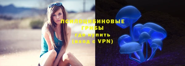 mdpv Лихославль