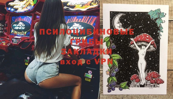 стаф Липки