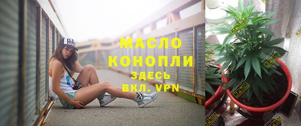 стаф Липки